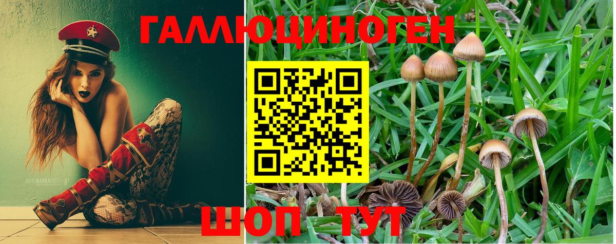 Псилоцибиновые грибы Magic Shrooms Кимовск