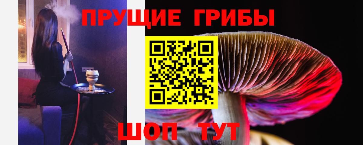 Кимовск  Псилоцибиновые грибы Psilocybe  Вход с VPN 