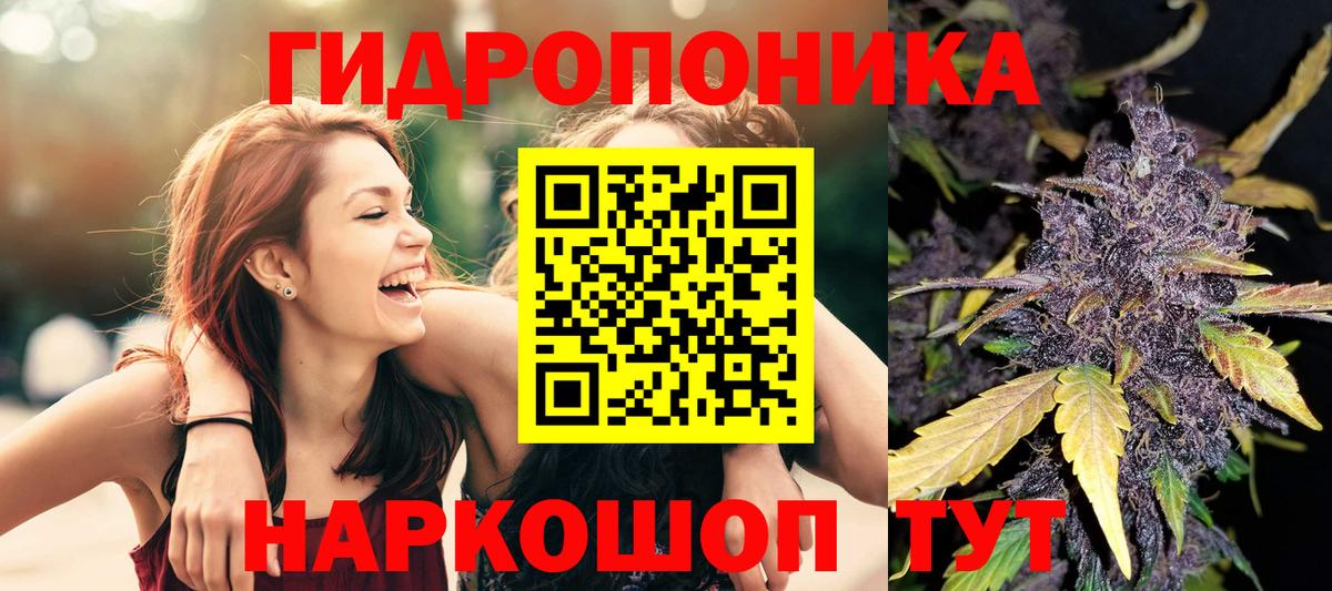 Бошки марихуана OG Kush Кимовск